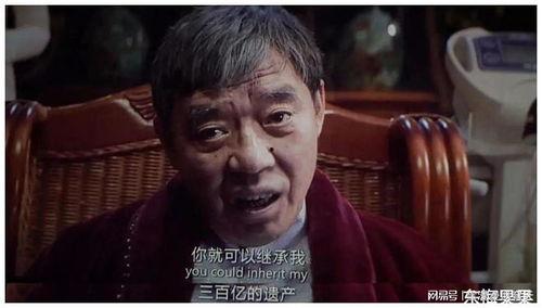 网红上海何某是谁,从网络红人到社会现象的演变