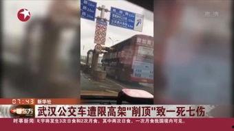 武汉搞笑节目,本土搞笑节目带你领略荆楚风趣